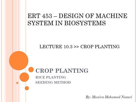 RICE PLANTING SEEDING METHOD