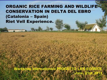 ORGANIC RICE FARMING AND WILDLIFE CONSERVATION IN DELTA DEL EBRO (Catalonia – Spain) Riet Vell Experience. Workshop Internationale PROGETTO LIFE ECORICE.