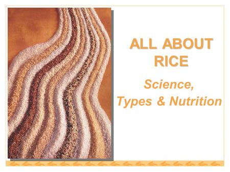 ALL ABOUT RICE Science, Types & Nutrition. Rice Classification Categorized by: 1.Degree of Milling 2.Kernel Size 3.Starch Content 4.Flavor.