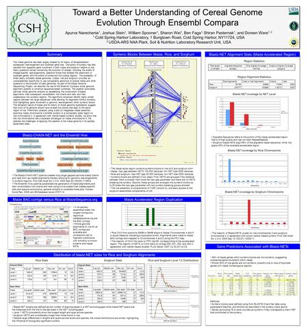 Toward a Better Understanding of Cereal Genome Evolution Through Ensembl Compara 1111, Apurva Narechania 1, Joshua Stein 1, William Spooner 1, Sharon Wei.