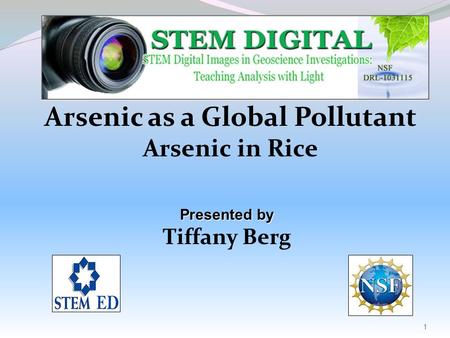 Arsenic as a Global Pollutant Arsenic in Rice Presented by Tiffany Berg 1.