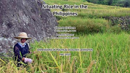 Golden Rice Bt Cotton INDIA G.D. Stone 2015 Biotechnology, Schismogenesis and the Demise of Uncertainty. Journal of Law and Policy 46, in press.