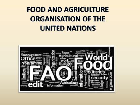 Achieving food security for all is at the heart of FAO's efforts – to make sure people have regular access to enough high-quality food to guarantee healthy.