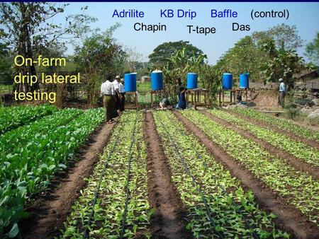 Adrilite Chapin KB Drip T-tape Das (control)Baffle On-farm drip lateral testing.