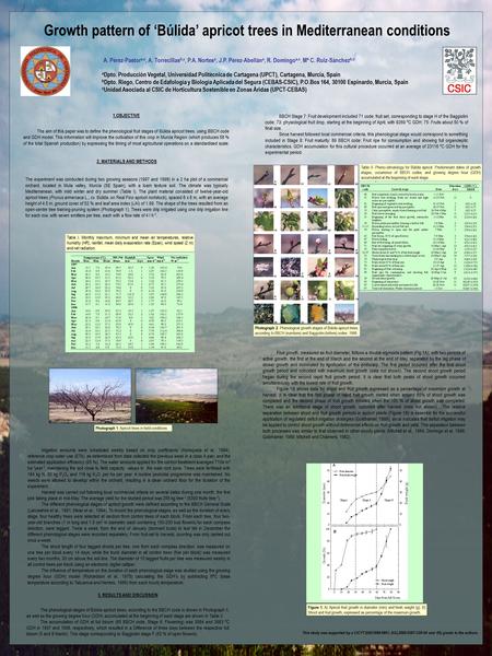 Growth pattern of ‘Búlida’ apricot trees in Mediterranean conditions A. Pérez-Pastor a,c, A. Torrecillas b,c, P.A. Nortes a, J.P. Pérez-Abellán a, R. Domingo.