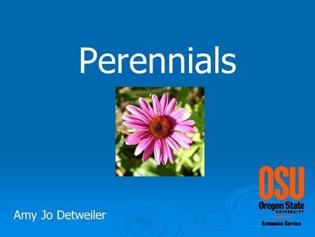 Perennials Amy Jo Detweiler. Perennial plants that live for 2+ years once mature they flower annually.