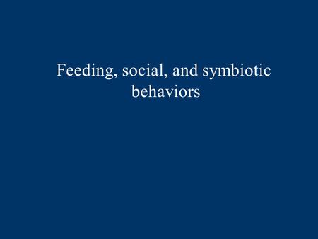 Feeding, social, and symbiotic behaviors. Diet The bigger the fish, the more food resources it can consume the better chance of avoiding predators ‘bigger.