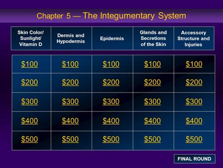 Chapter 5 — The Integumentary System $100 $200 $300 $400 $500 $100$100$100 $200 $300 $400 $500 Skin Color/ Sunlight/ Vitamin D Dermis and Hypodermis Epidermis.