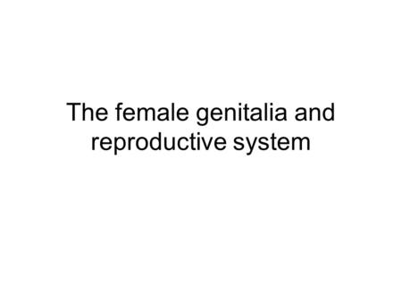 The female genitalia and reproductive system