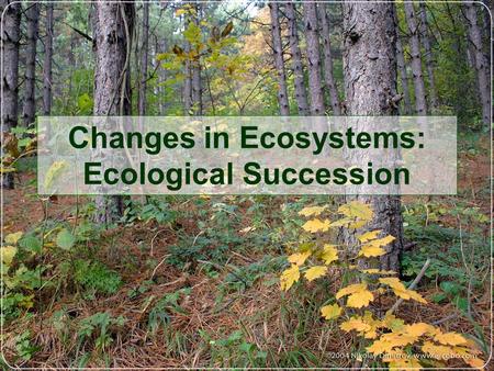 Changes in Ecosystems: Ecological Succession