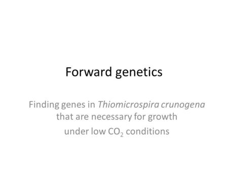 Forward genetics Finding genes in Thiomicrospira crunogena that are necessary for growth under low CO 2 conditions.