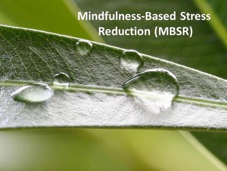 Mindfulness-Based Stress