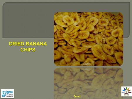 Next. Introduction Bananas are a staple in the tropics. The fruit of the banana is technically a berry. cluster of fruit is called a hand and each banana.