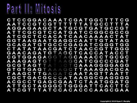 Part II: Mitosis Copyright © 2010 Ryan P. Murphy.