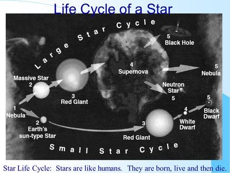 Life Cycle of a Star Star Life Cycle: Stars are like humans. They are born, live and then die.