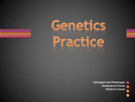 Gentoypes and Phenotypes Monohybrid Crosses Dihybrid Crosses.