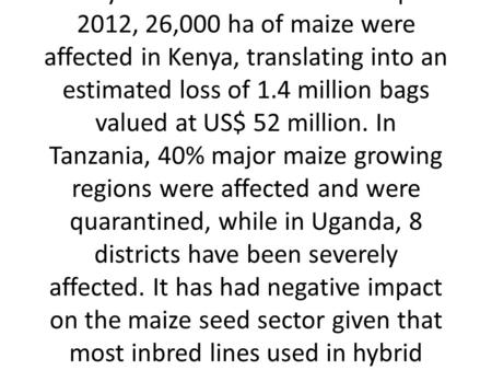 University Of Nairobi Launches ASARECA Funded Project To Fight New Maize Disease In Eastern And Central Africa The University of Nairobi (UoN), through.