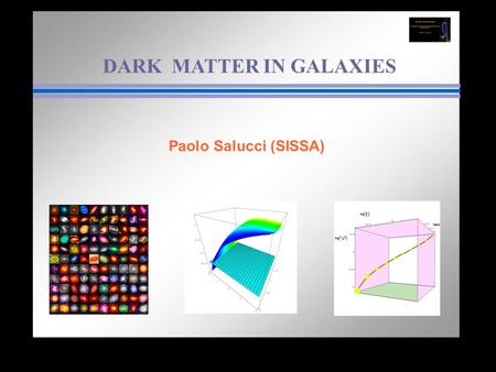 DARK MATTER IN GALAXIES