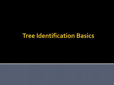 Broad Classification Scheme Annual, Biennial, or Perennial?