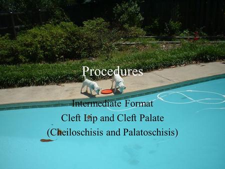 Procedures Intermediate Format Cleft Lip and Cleft Palate