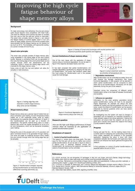 Improving the high cycle fatigue behaviour of shape memory alloys Background To make wind energy more attractive, the price per energy yield should become.