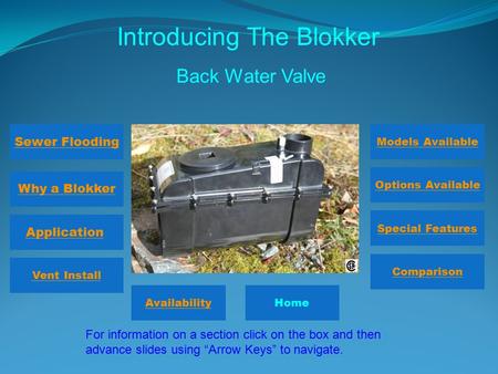 Introducing The Blokker