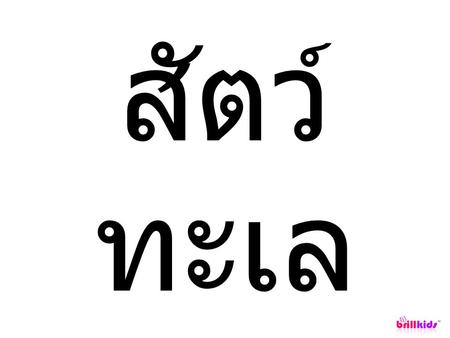 สัตว์ ทะเล. ปู โลม า เต่า ปลา วาฬ What Little Reader can do that PowerPoint cannot: Display a different picture each time the same word.