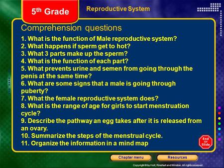 Comprehension questions