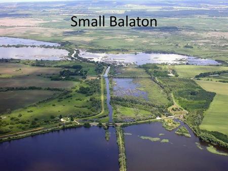 Small Balaton. Small-Balaton, as an extensive, uninterrupted wetland habitat represents a unique value in Europe. Small Balaton is part of the Balaton.