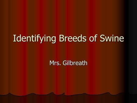 Identifying Breeds of Swine