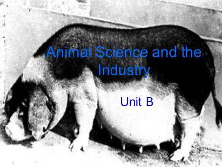 Animal Science and the Industry