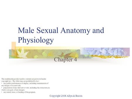 Male Sexual Anatomy and Physiology