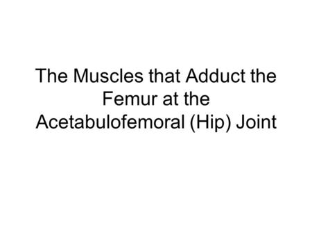 The Muscles that Adduct the Femur at the Acetabulofemoral (Hip) Joint