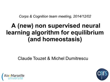 Corps & Cognition team meeting, 2014/12/02 A (new) non supervised neural learning algorithm for equilibrium (and homeostasis) Claude Touzet & Michel Dumitrescu.