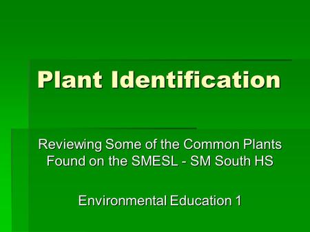 Plant Identification Reviewing Some of the Common Plants Found on the SMESL - SM South HS Environmental Education 1.