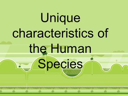 Unique characteristics of the Human Species. Adaptations for Erect Stance: Position of Foramen Magnum (base of skull not back) Double curvature of spine.