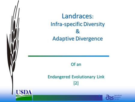 1 Landraces : Infra-specific Diversity & Adaptive Divergence Of an Endangered Evolutionary Link [2]