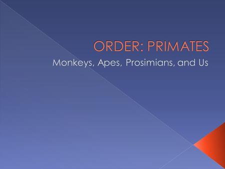  The origin of the order is commonly given as 65 MYA (million years ago)  Some estimates go back to 85 MYA.