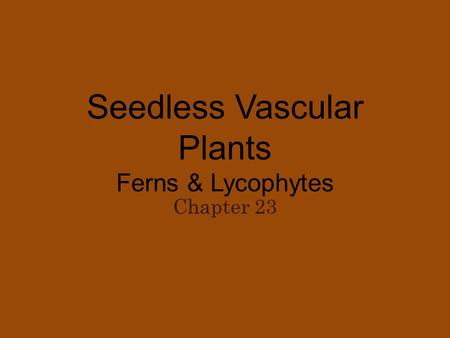 Seedless Vascular Plants Ferns & Lycophytes