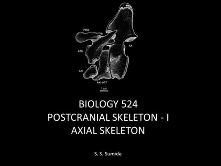 BIOLOGY 524 POSTCRANIAL SKELETON - I AXIAL SKELETON S. S. Sumida.