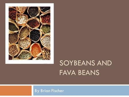 SOYBEANS AND FAVA BEANS By Brian Fischer. Overview  History of both plants  Their production worldwide and in the U.S.  Uses of both plants.