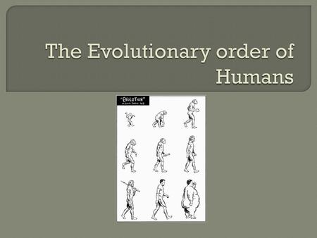  Most scientists date Earth’s origin to around 4.5 billion years ago  222 million years ago, mammals first appeared  200 mya-65 mya dinosaurs roamed.