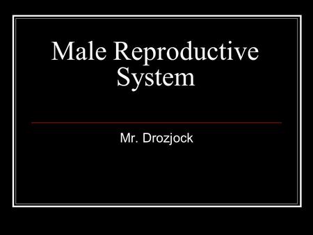 Male Reproductive System