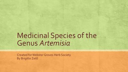 Medicinal Species of the Genus Artemisia Created for Webster Groves Herb Society By Brigitte Zettl.