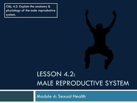 LESSON 4.2: MALE REPRODUCTIVE SYSTEM Module 4: Sexual Health Obj. 4.2: Explain the anatomy & physiology of the male reproductive system.