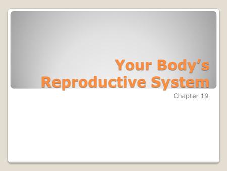 Your Body’s Reproductive System