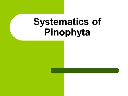 Systematics of Pinophyta