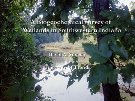 A Biogeochemical Survey of Wetlands in Southwestern Indiana A Biogeochemical Survey of Wetlands in Southwestern Indiana David A. Stuckey University of.