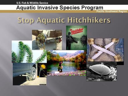 Stop Aquatic Hitchhikers