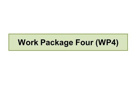 Work Package Four (WP4). WP4: (emergent) Analytical Framework Development of an analytical framework for the analysis of the role of belief systems in.